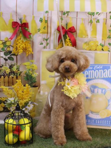 20240424なるくん